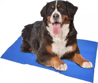 Duvo+ koelmat blauw xx large - hond