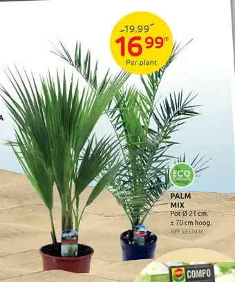Palm Mix