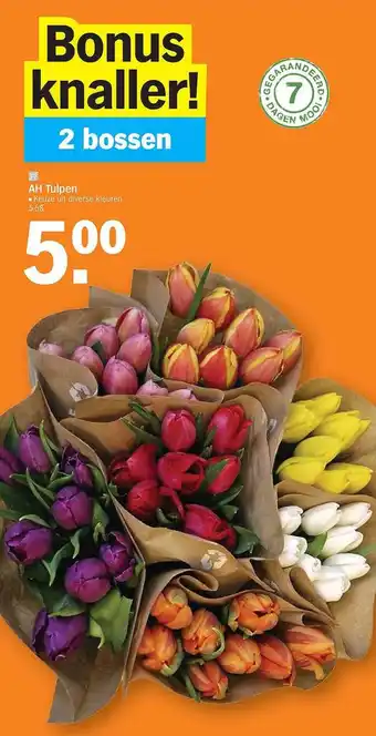 Albert Heijn Tulpen aanbieding