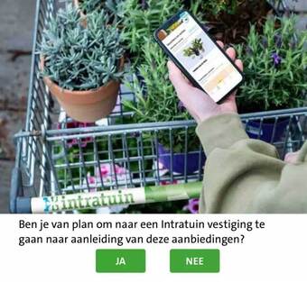 Intratuin Intratuin aanbieding