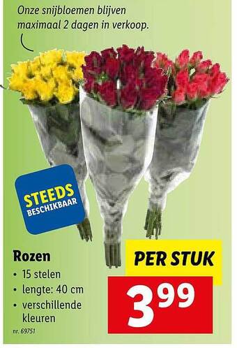 Lidl Rozen aanbieding
