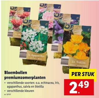 Lidl Bloembollen premiumzomerplanten aanbieding