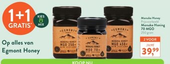 Holland & Barrett Manuka Honey Manuka Honing 70 MGO 250gram aanbieding