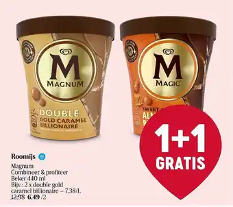 Delhaize Roomijs magnum aanbieding