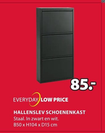 Hallenslev schoenenkast B50 x H104 x D15 cm