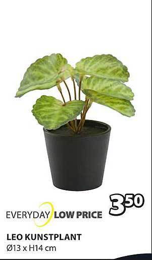 Jysk Leo kunstplant aanbieding