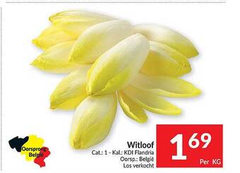 Intermarché Witloof aanbieding