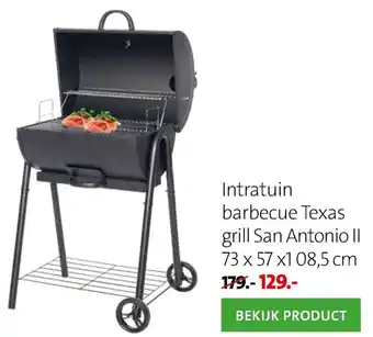 Intratuin Barbecue Texas grill San Antonio II