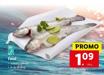 Lidl Forel aanbieding