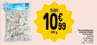 Cora Garnaalstaarten ocean pride aanbieding
