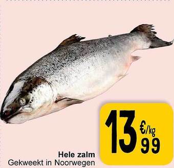 Cora Hele zalm aanbieding
