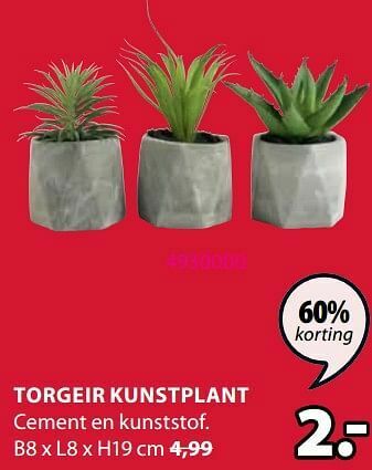 Torgeir kunstplant