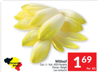 Intermarché Witloof per kg aanbieding
