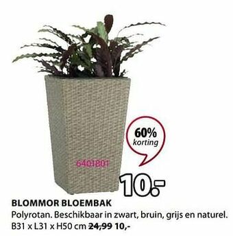 Jysk Blommor bloembak aanbieding