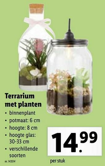 Lidl Terrarium met planten aanbieding