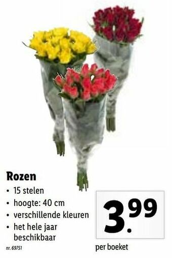 Lidl Rozen aanbieding