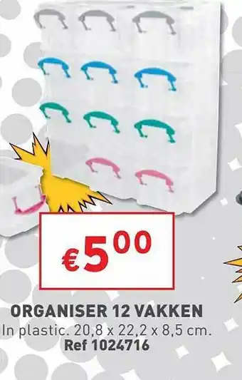 Organiser 12 vakken