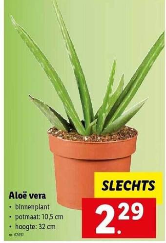 Lidl Aloe vera aanbieding