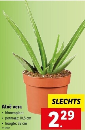 Lidl Aloë vera aanbieding