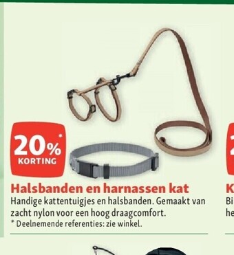 Halsbanden en harnassen kat