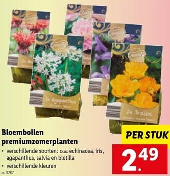 Bloembollen premiumzomerplanten
