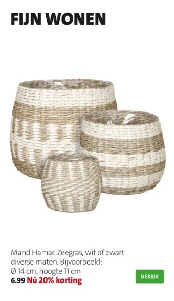Intratuin Mand hamar aanbieding