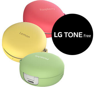 Lg tone free macaron case - pistachio