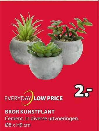 Jysk Bror kunstplant aanbieding