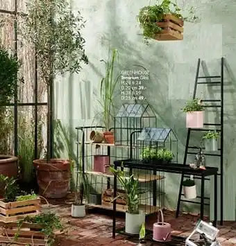 Greenhouse terrarium