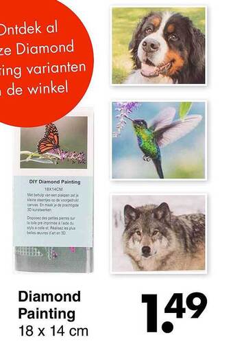 Wibra Diamond painting aanbieding