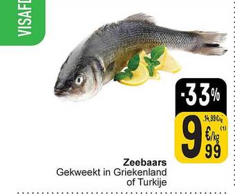 Cora Zeebaars aanbieding