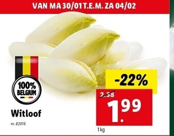Lidl Witloof 1kg nr. 82016 aanbieding