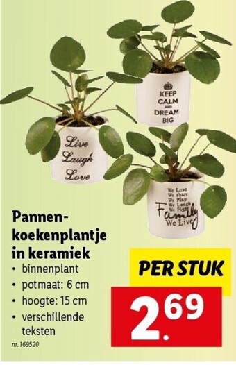 Lidl Pannenkoekenplantje in keramiek per stuk nr. 169520 aanbieding