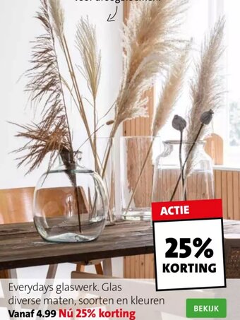 Everyday Glaswerk, Glas Diverse Maten, Soorten en Kleuren