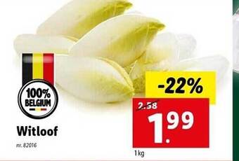 Lidl Witloof aanbieding