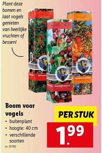 Lidl Boom voor vogels aanbieding