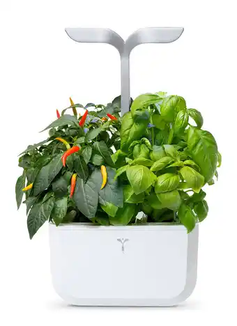 Krëfel Moestuin exky smart aanbieding