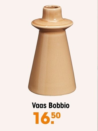 Kwantum Vaas bobbio aanbieding