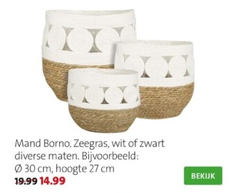 Intratuin Mand borno aanbieding
