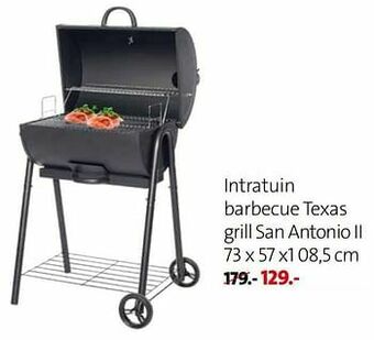 Intratuin barbecue texas grill san antonio ii