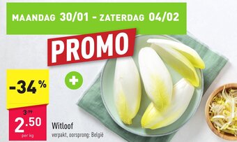 ALDI Witloof per kg aanbieding