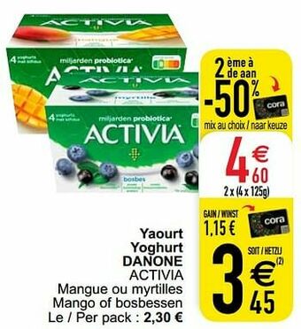 Yaourt yoghurt danone activia