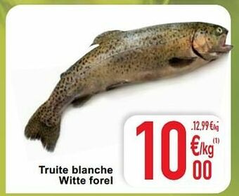 Cora Truite blanche witte forel aanbieding