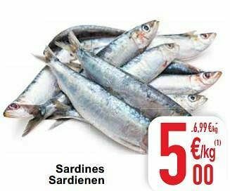 Cora Sardines sardienen aanbieding
