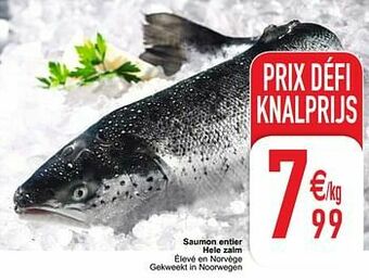 Cora Saumon entier hele zalm aanbieding
