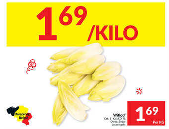 Witloof per kg