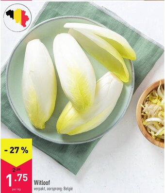 ALDI Witloof aanbieding