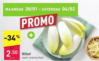 ALDI Witloof aanbieding