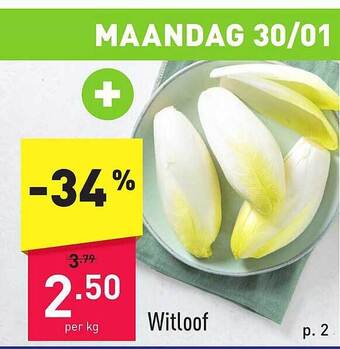 ALDI Witloof aanbieding