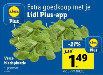 Lidl Verse bladspinazie aanbieding